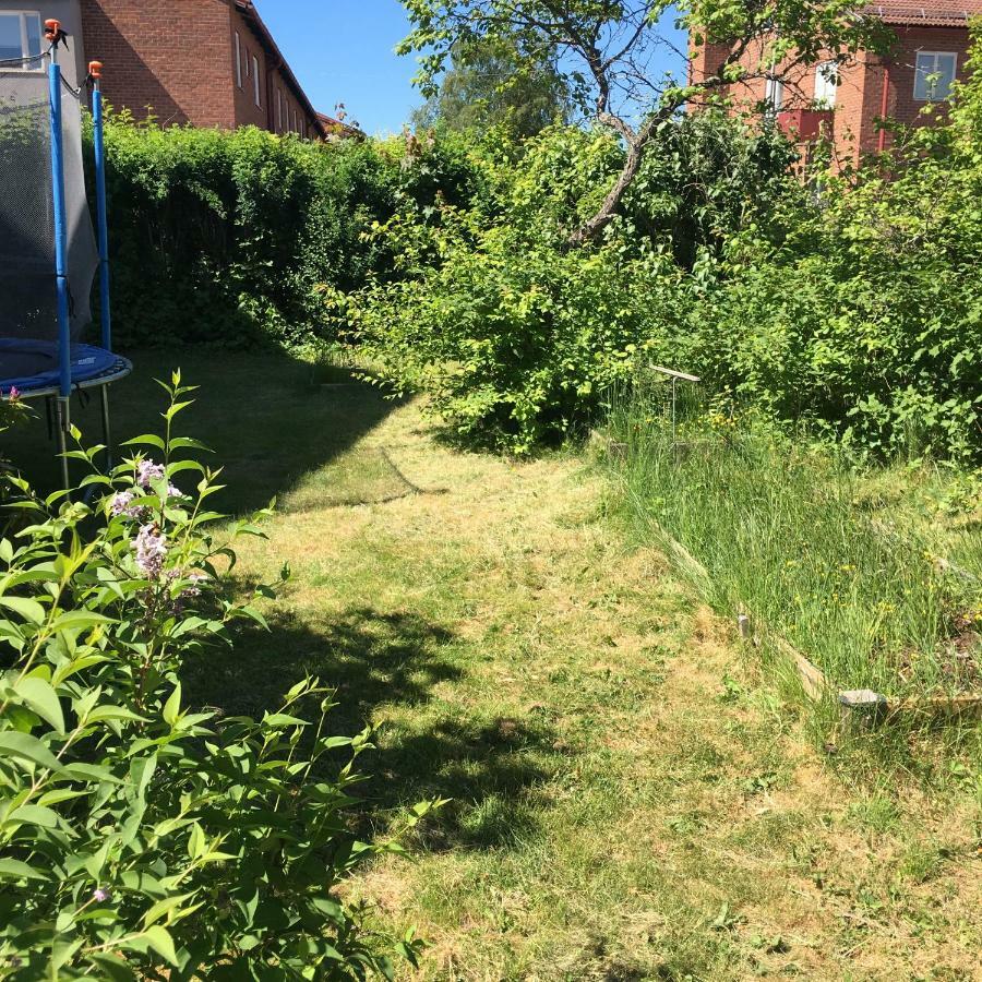 Homestay Parkgatan